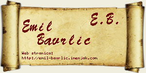 Emil Bavrlić vizit kartica
